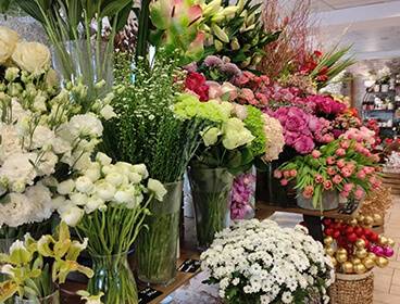 bouquets de fleurs