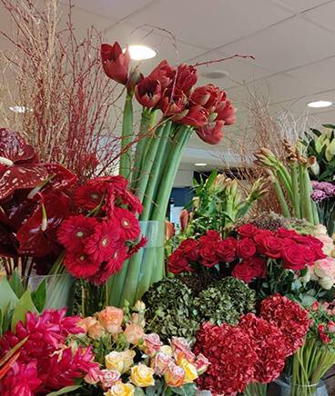bouquets de fleurs
