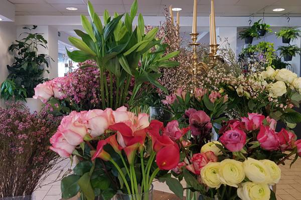 compositions florales