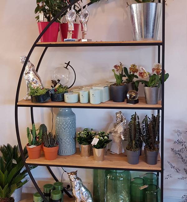 plantes vertes