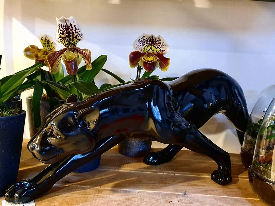 décoration
